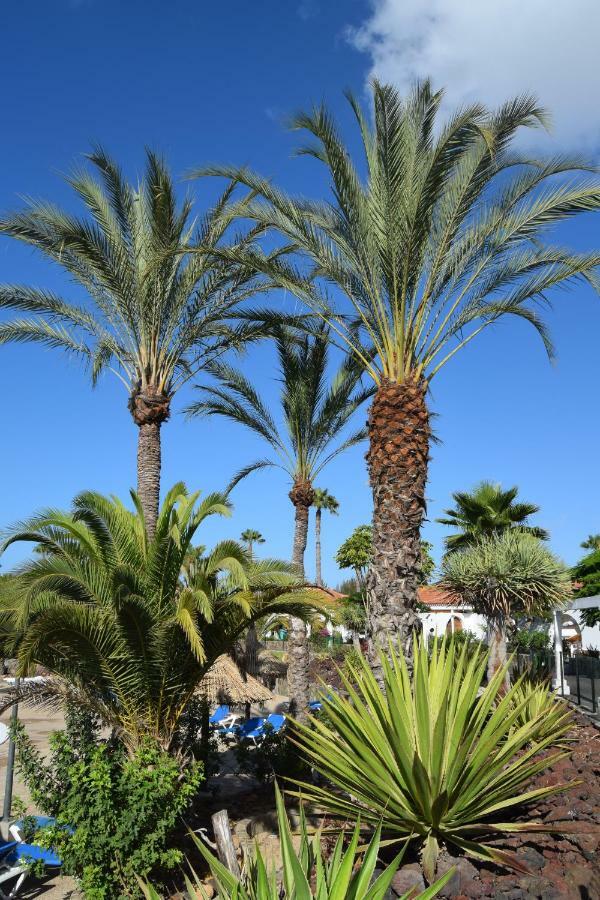 Parque Golf Fresh Apartament